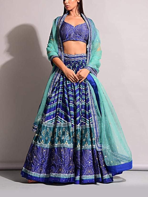 Lehenga, Printed, Lehenga set, Choli, Navratri lehenga, Zari work, Sequence work, Party wear, Designer wear, Leheriya