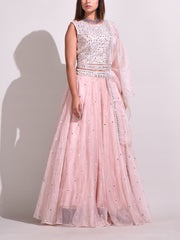 Peach Organza Lehenga Set