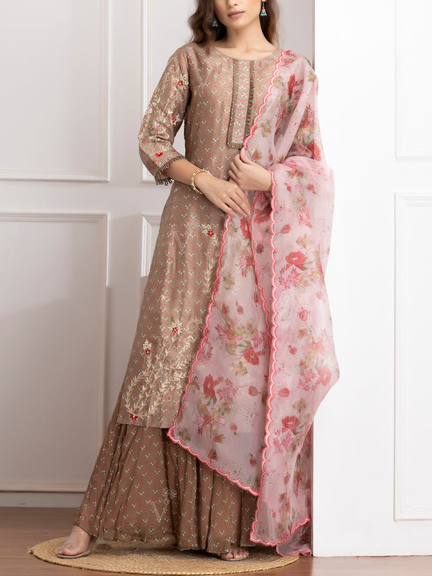 Brown Embroidered Kurta and Palazzo Set-VJ06072114