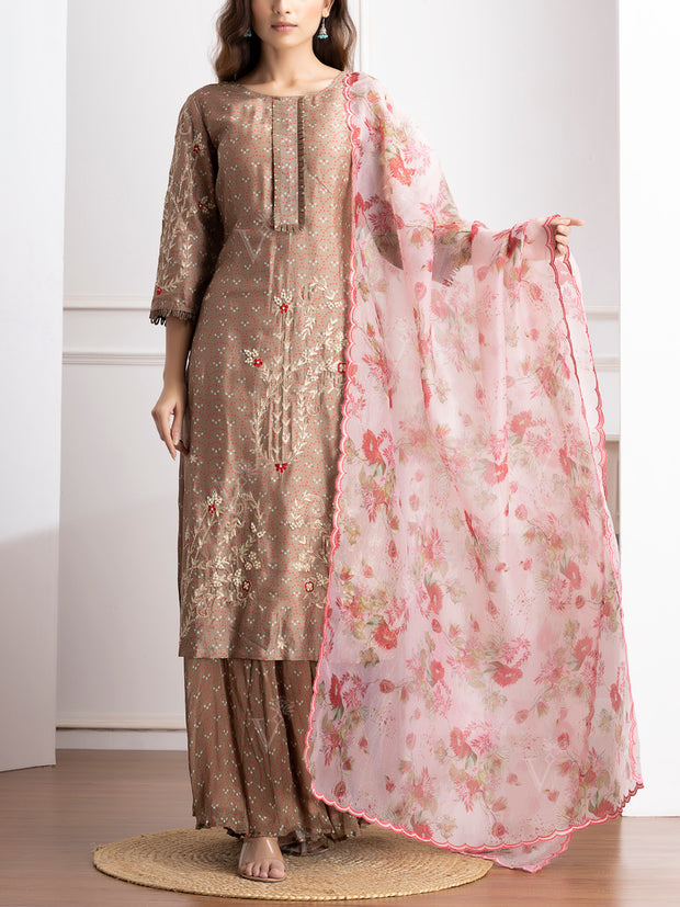 Brown Embroidered Kurta and Palazzo Set-VJ06072114