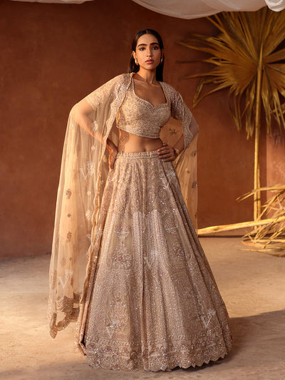 Golden Organza Lehenga Set