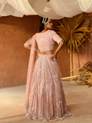 Peach Net Lehenga Set