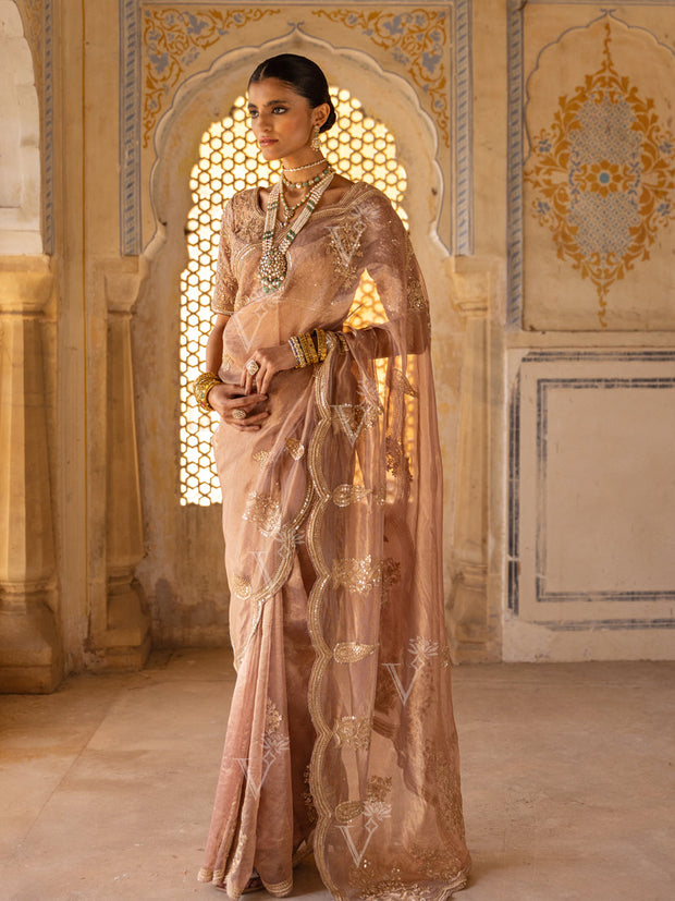 Beige Zardozi Organza Saree