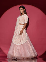 Powder Pink Organza Lehenga Set