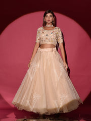 Beige Embroidered Organza Lehenga Set