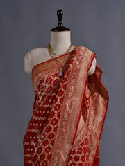 Red Georgette Bandhani  Zari Saree