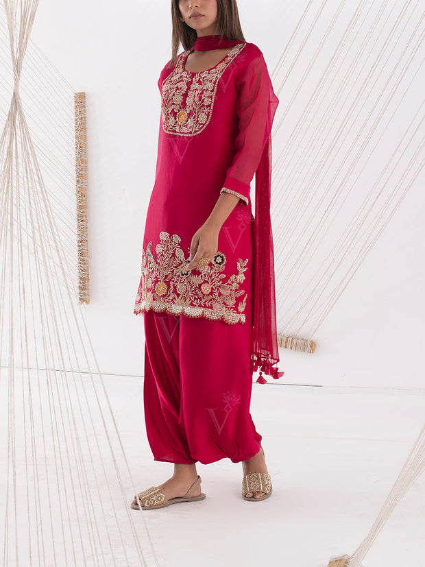 Red-Rani Organza Salwar Suit