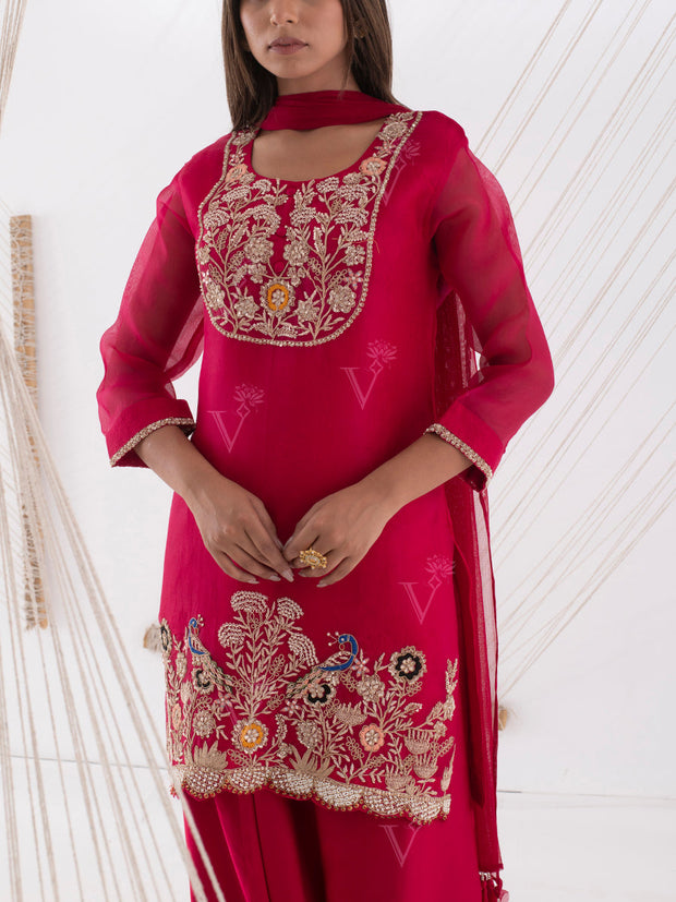 Red-Rani Organza Salwar Suit