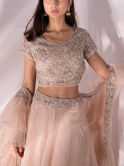 Ivory Organza Ruffle Lehenga Set